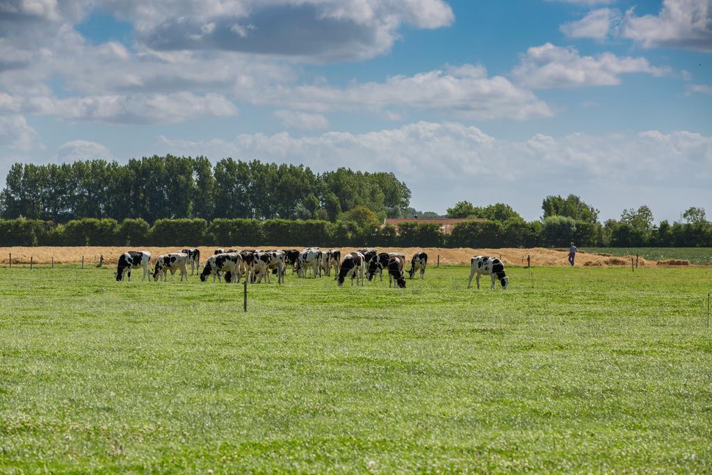 Ferienwohnung De Grote Geere Oostkapelle Exterior foto