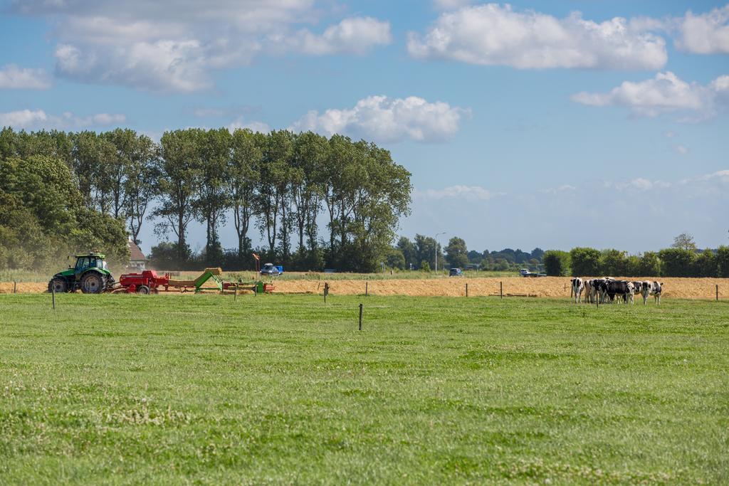 Ferienwohnung De Grote Geere Oostkapelle Exterior foto