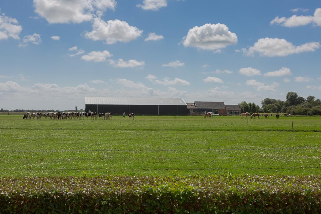 Ferienwohnung De Grote Geere Oostkapelle Exterior foto